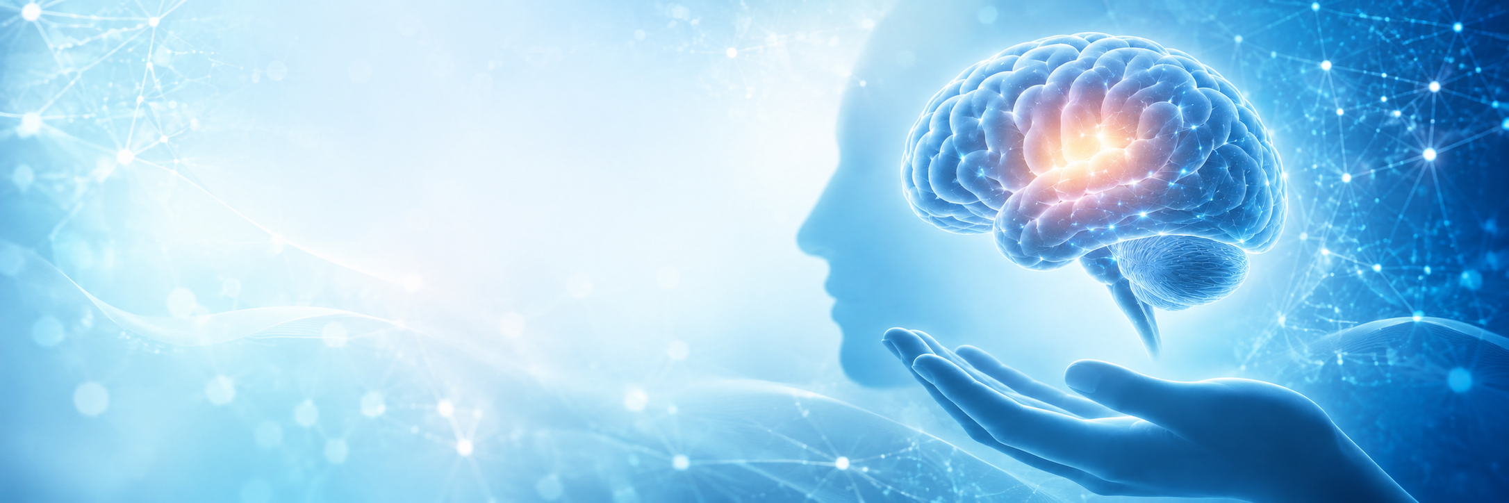 Brain Injury Support and Services